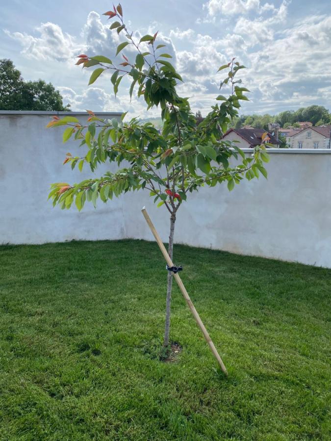 Olga Chambre D'Hote Verdun-sur-Meuse Exteriör bild